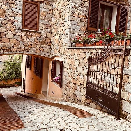 B&B Peonia Orgosolo Esterno foto