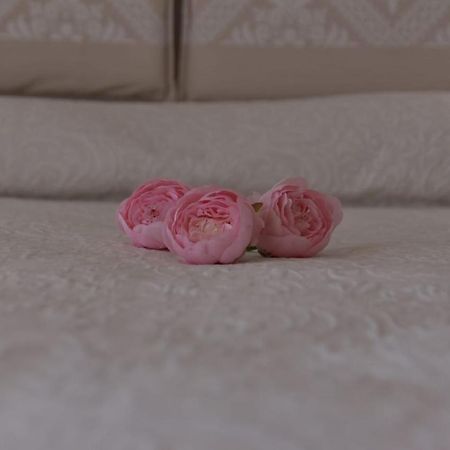 B&B Peonia Orgosolo Esterno foto