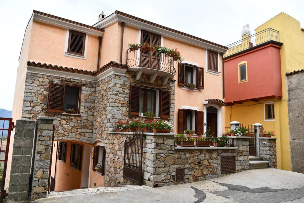 B&B Peonia Orgosolo Esterno foto